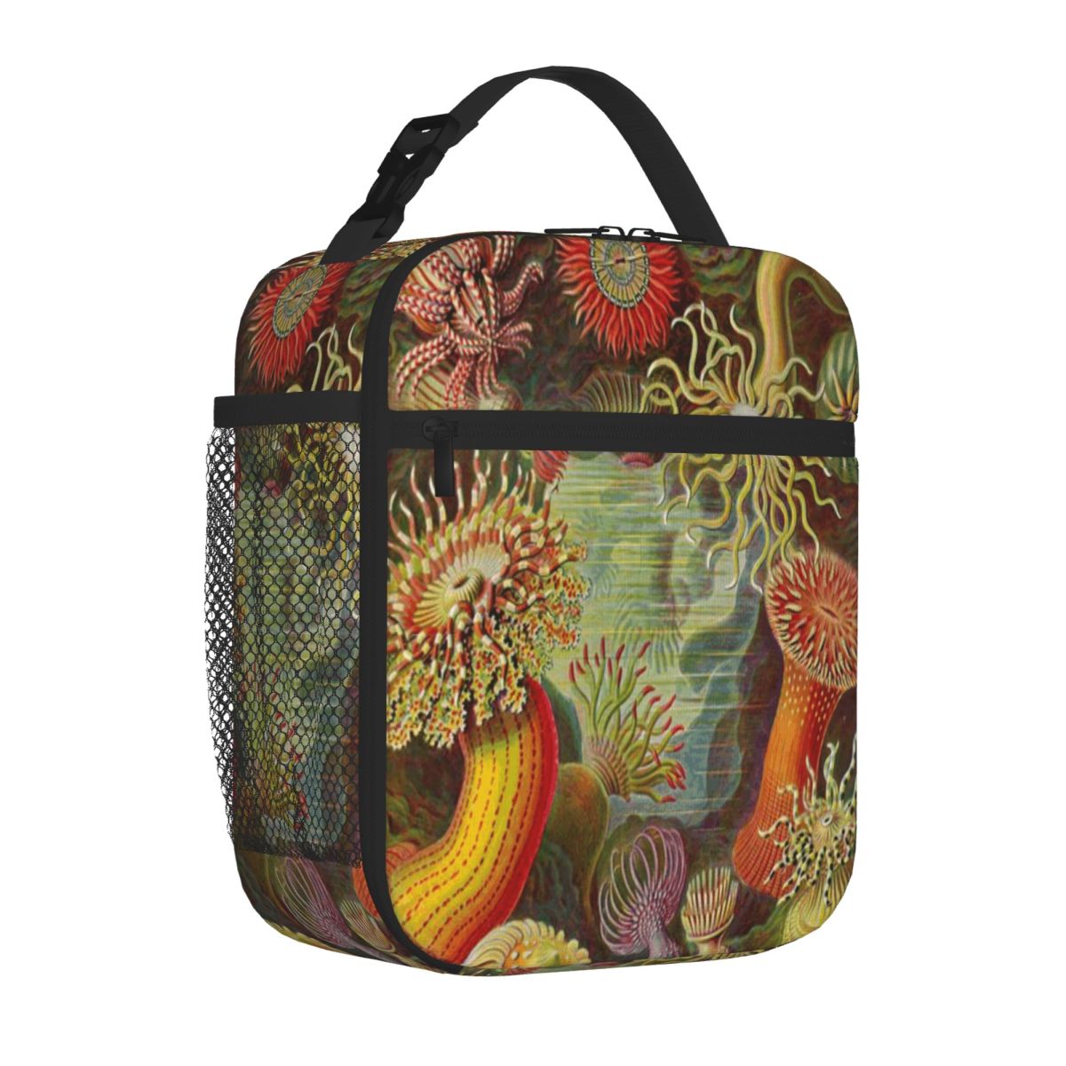 Hot Sale Sea Anemone - Ernst H - Meal Prep Diet 评论和价格