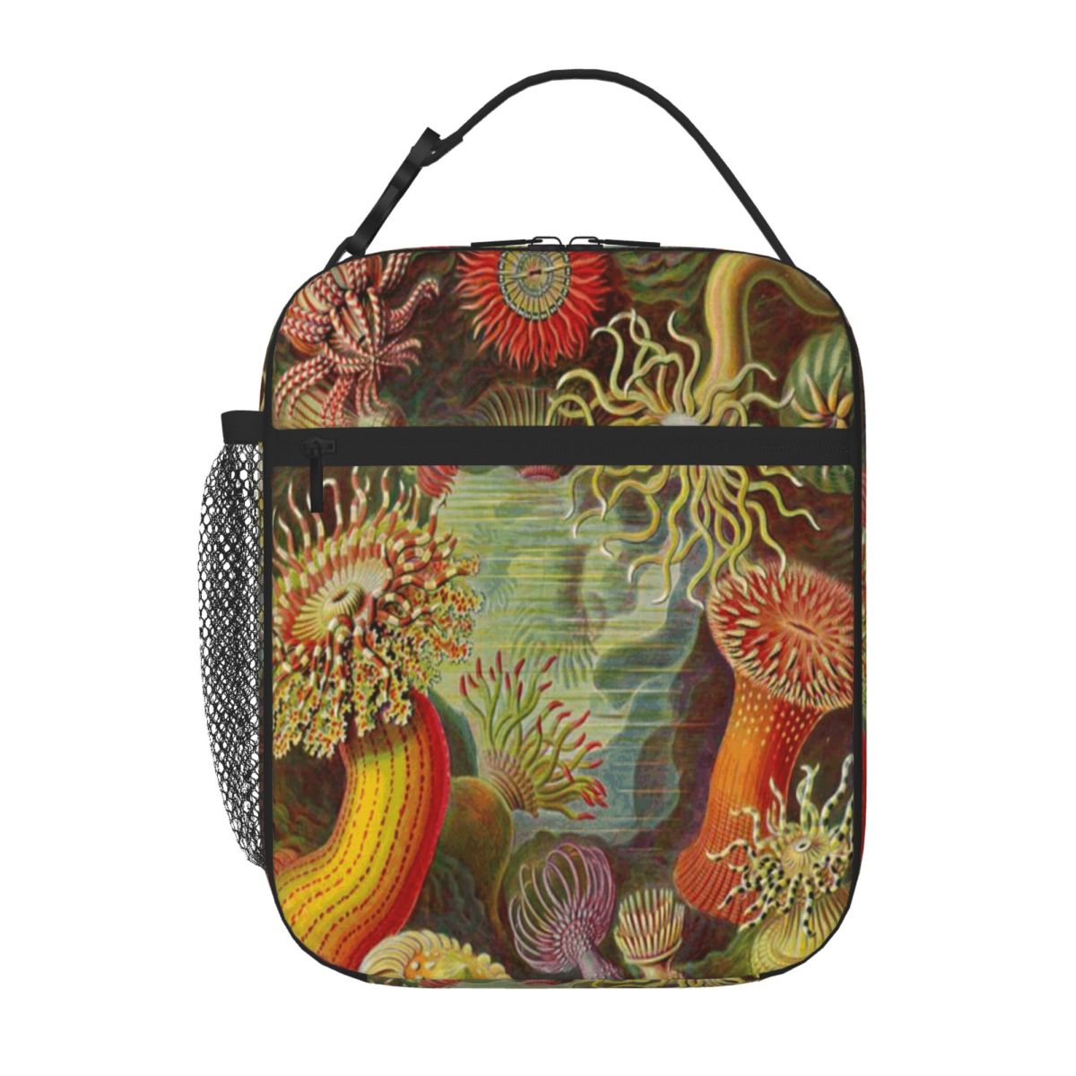 Hot Sale Sea Anemone - Ernst H - Meal Prep Diet 评论和价格